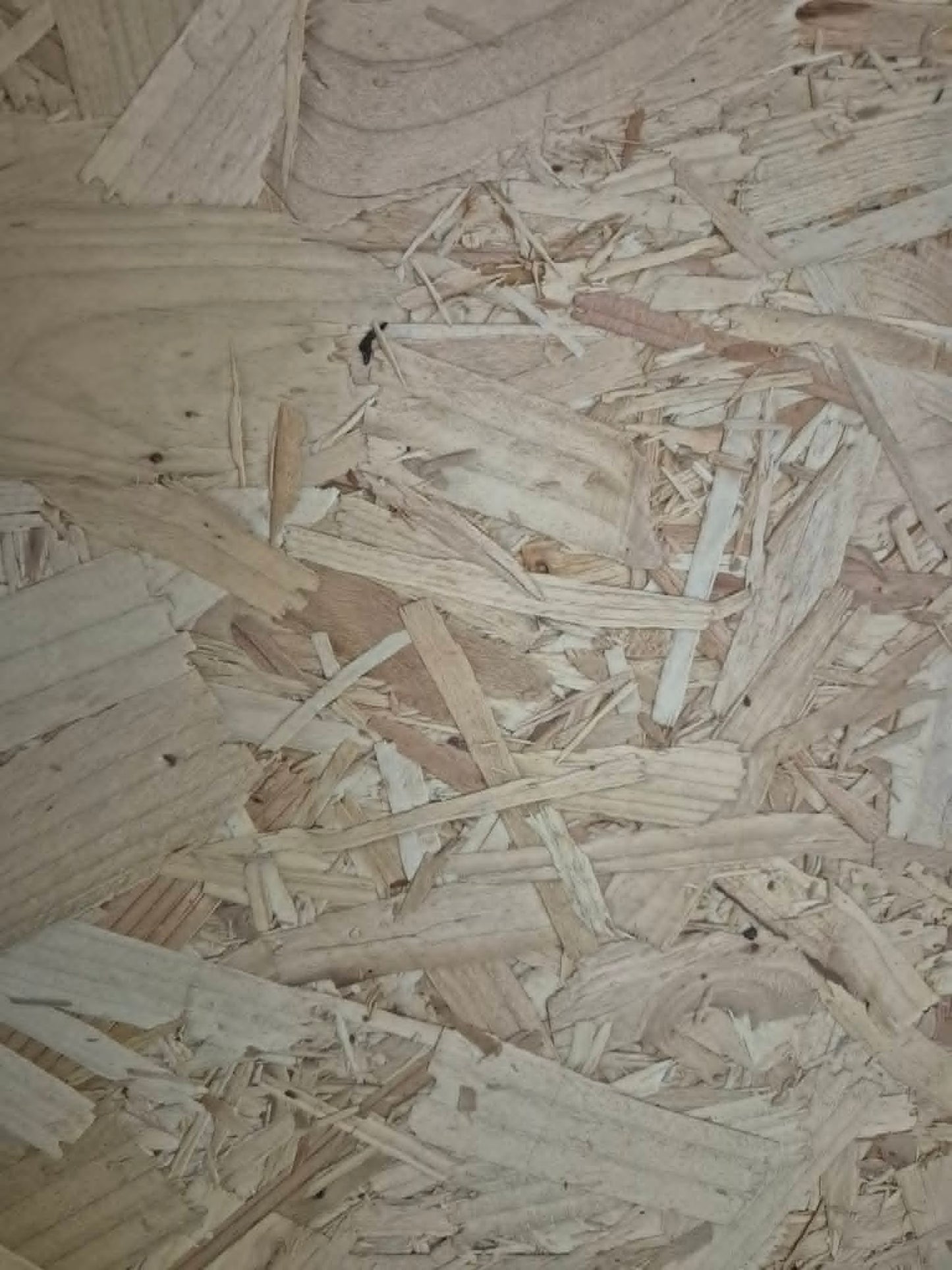18mm OSB sterling board 600x300mm PACK OF 12